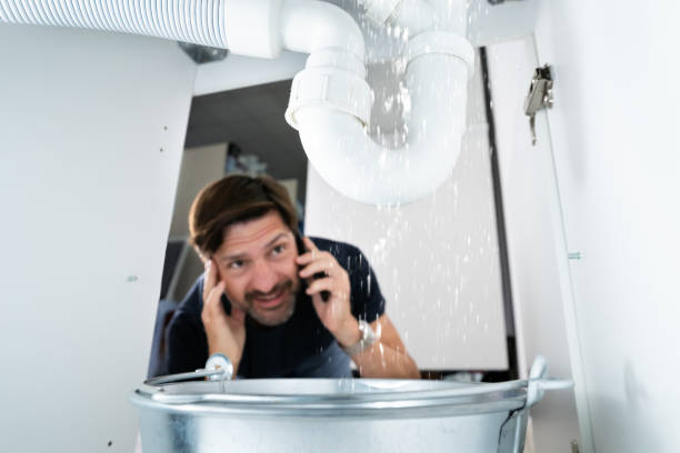 Best Best Plumbers Near Me  in Cowarts, AL