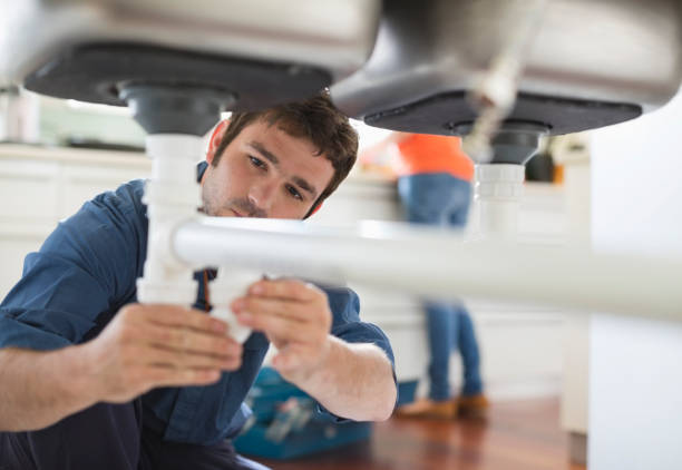 Best Water Softener Installation  in Cowarts, AL